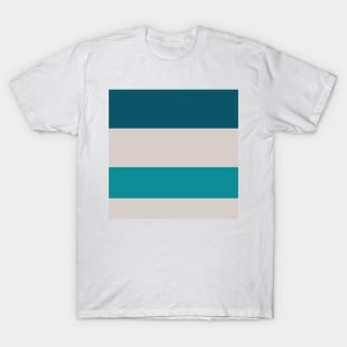 A fantastic harmony of Rouge, Pastel Pink, Silver, Dark Cyan and Philippine Indigo stripes. T-Shirt